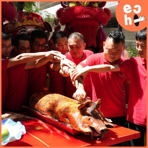 WhatsApp Image 2023-10-12 at 10.11.43 PM (3)