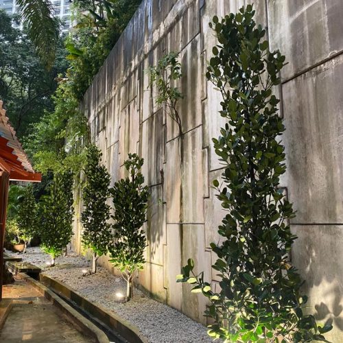 WhatsApp Image 2023-10-12 at 10.15.22 PM (1)