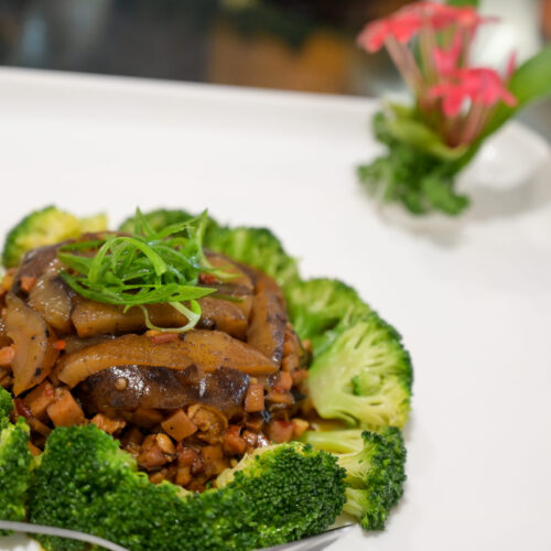 CKB_20231022_132156_CKB_6311_LR